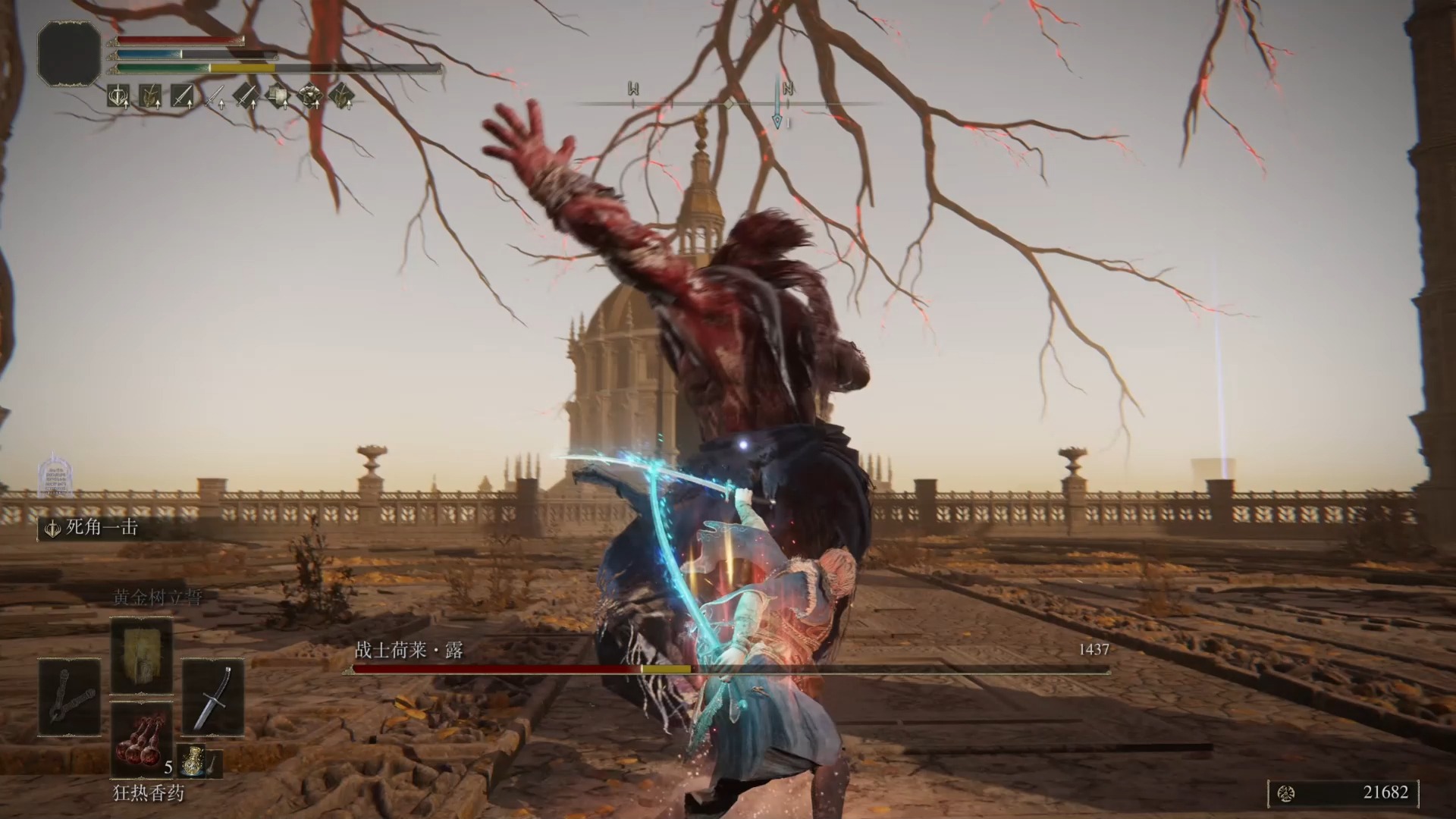 飘逸而又灵动！dlc新武器反手剑&死角一击到底有多好用！【艾尔登法环黄金树幽影】