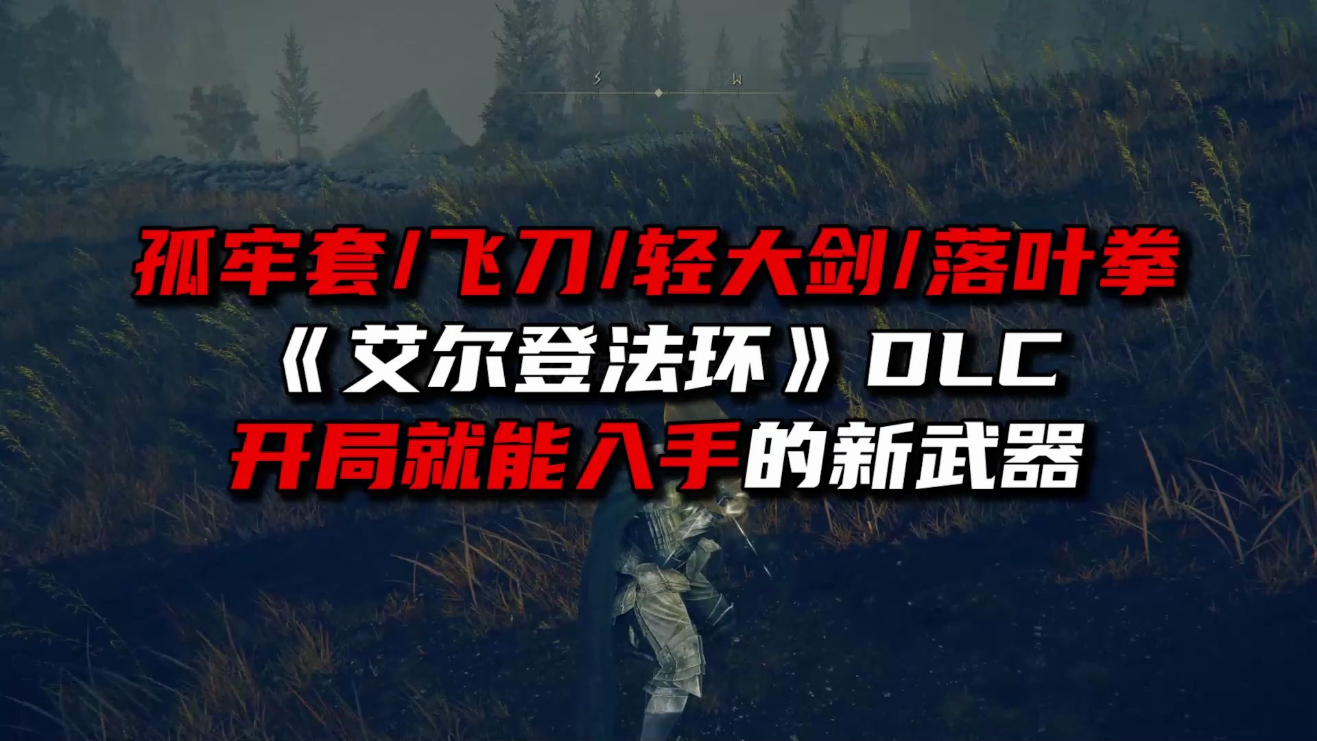 《艾尔登法环》DLC落叶拳/轻大剑/飞刀入手