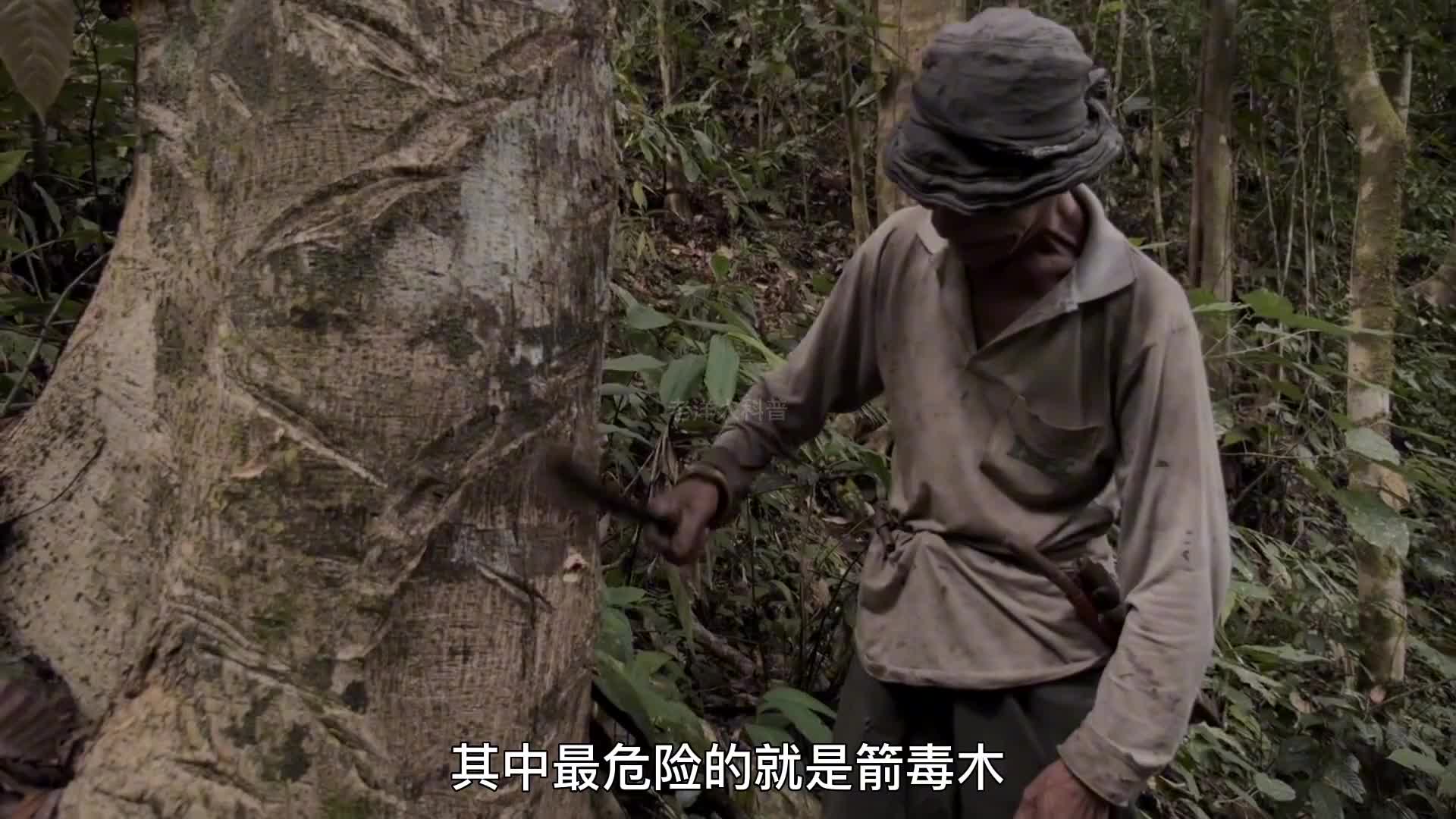 279. 带你走进恐怖的亚马逊雨林的最深处，看看你能坚持到第几层。