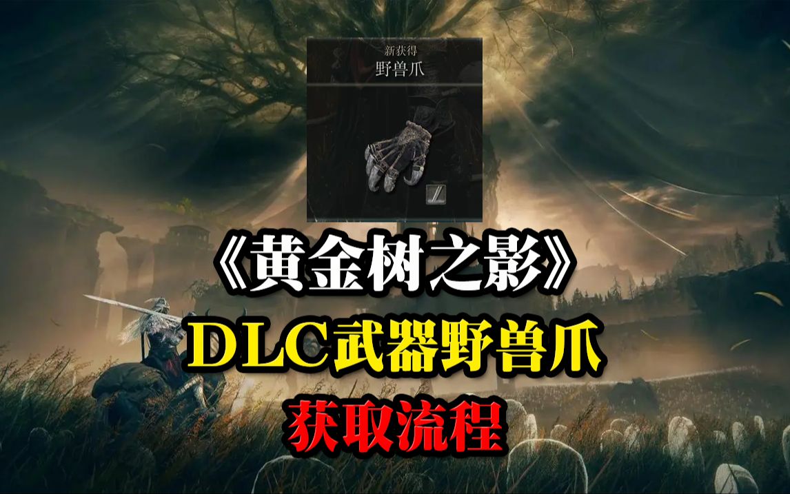 《黄金树之影》DLC武器野兽爪获取流程