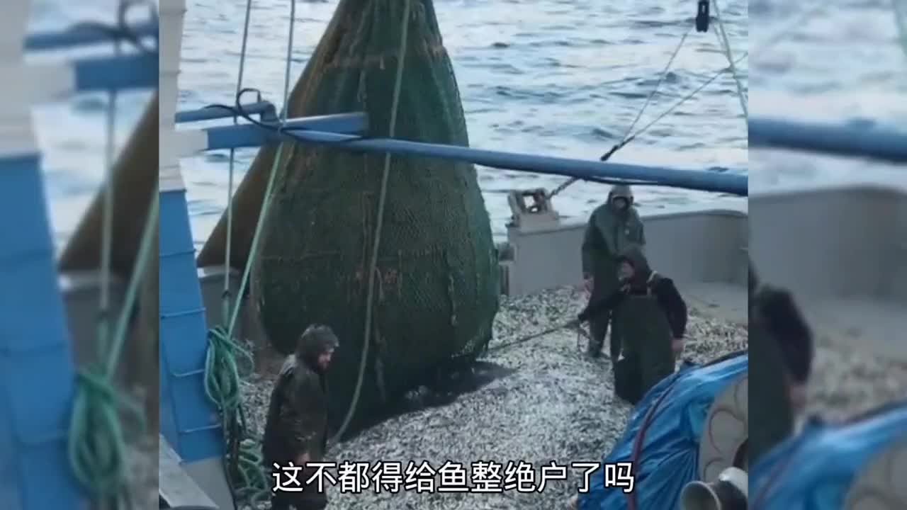 只要胆子大，赶尽杀绝都不怕