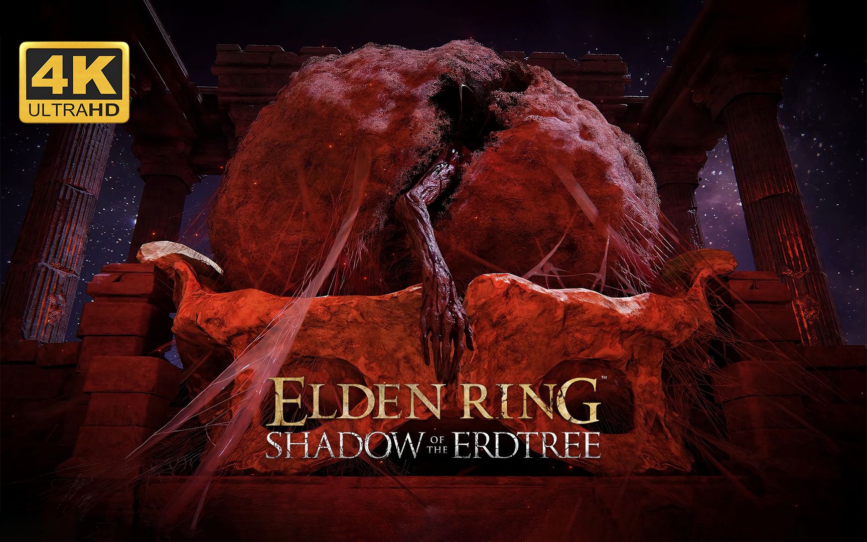 【艾尔登法环：黄金树幽影】多周目 全收集 直通DLC 同款水桶档分享