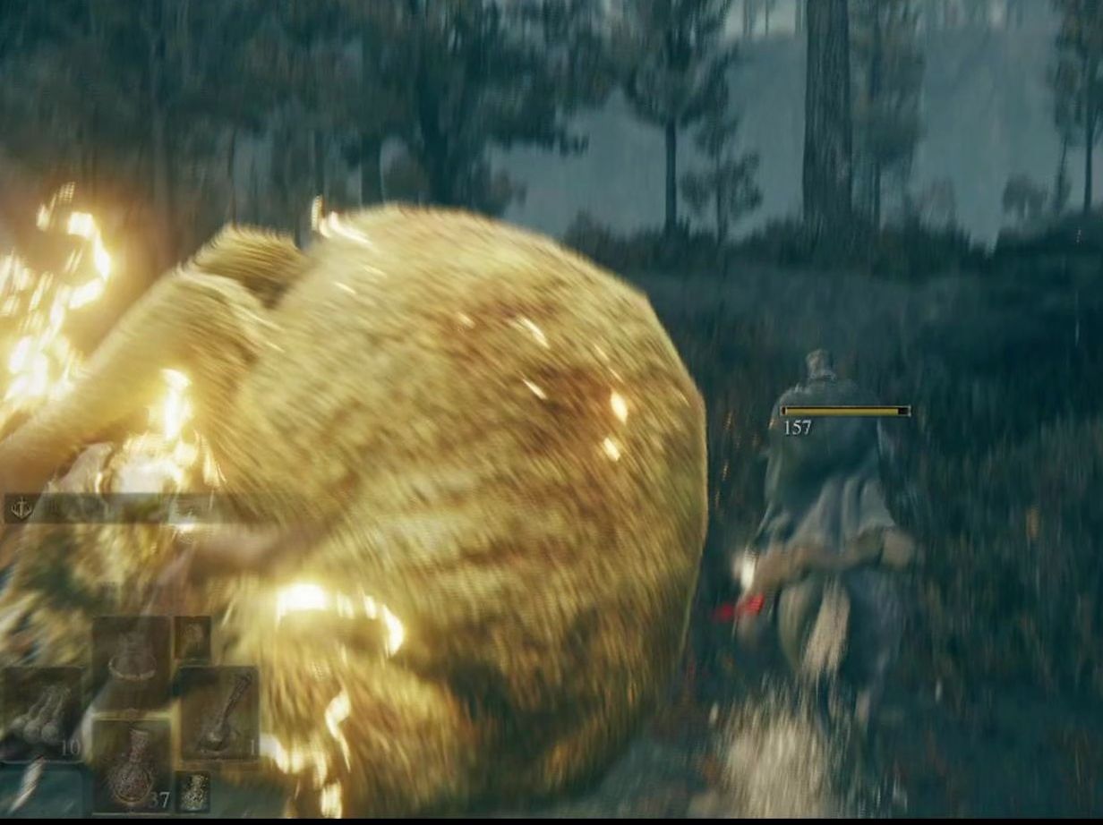 典中典之羊皮贵族