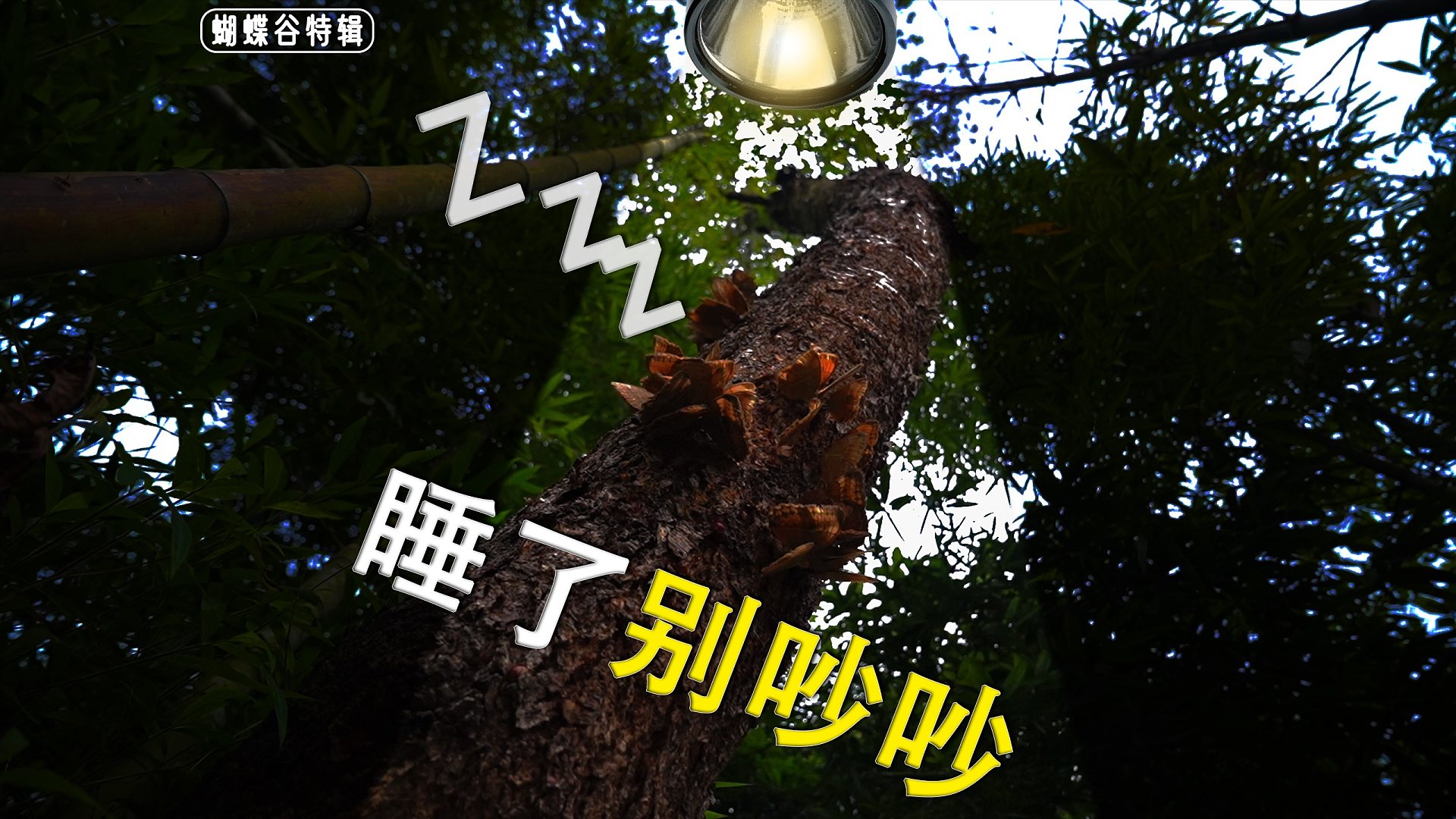 午夜时分突击检查！这些家伙大半夜究竟在干嘛？！