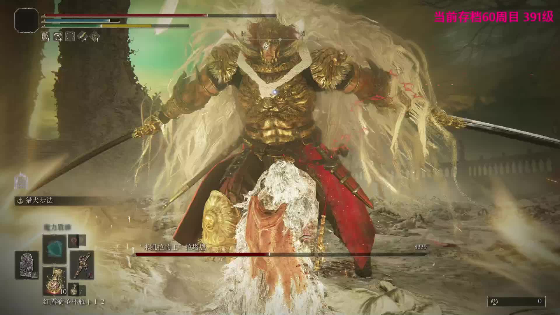 艾尔登法环 盾戳流 击杀最终BOOS 约定之王拉塔恩！