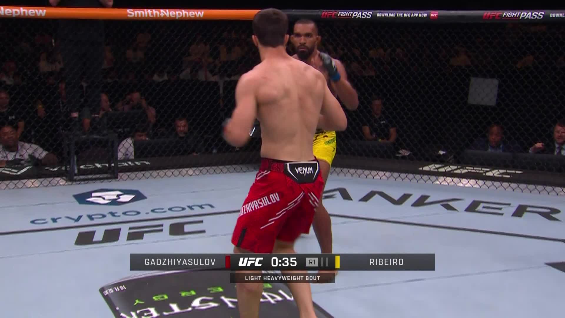 UFC on ABC 6 马戈梅德·加德吉亚苏洛夫 VS 布兰德森·里贝罗 清流