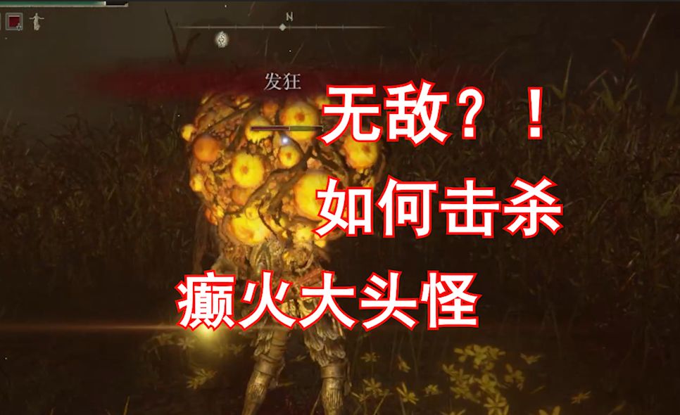 【艾尔登法环】DLC谷底森林癫火大眼怪要如何击杀！癫火大头怪！黄金树之影