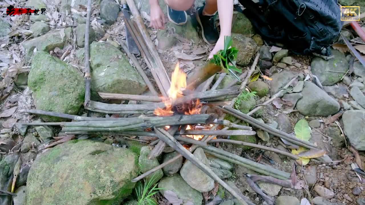 #野外生活纪录片 #丛林求生纪录片 #大型纪录片 #户外露营 #野外生存