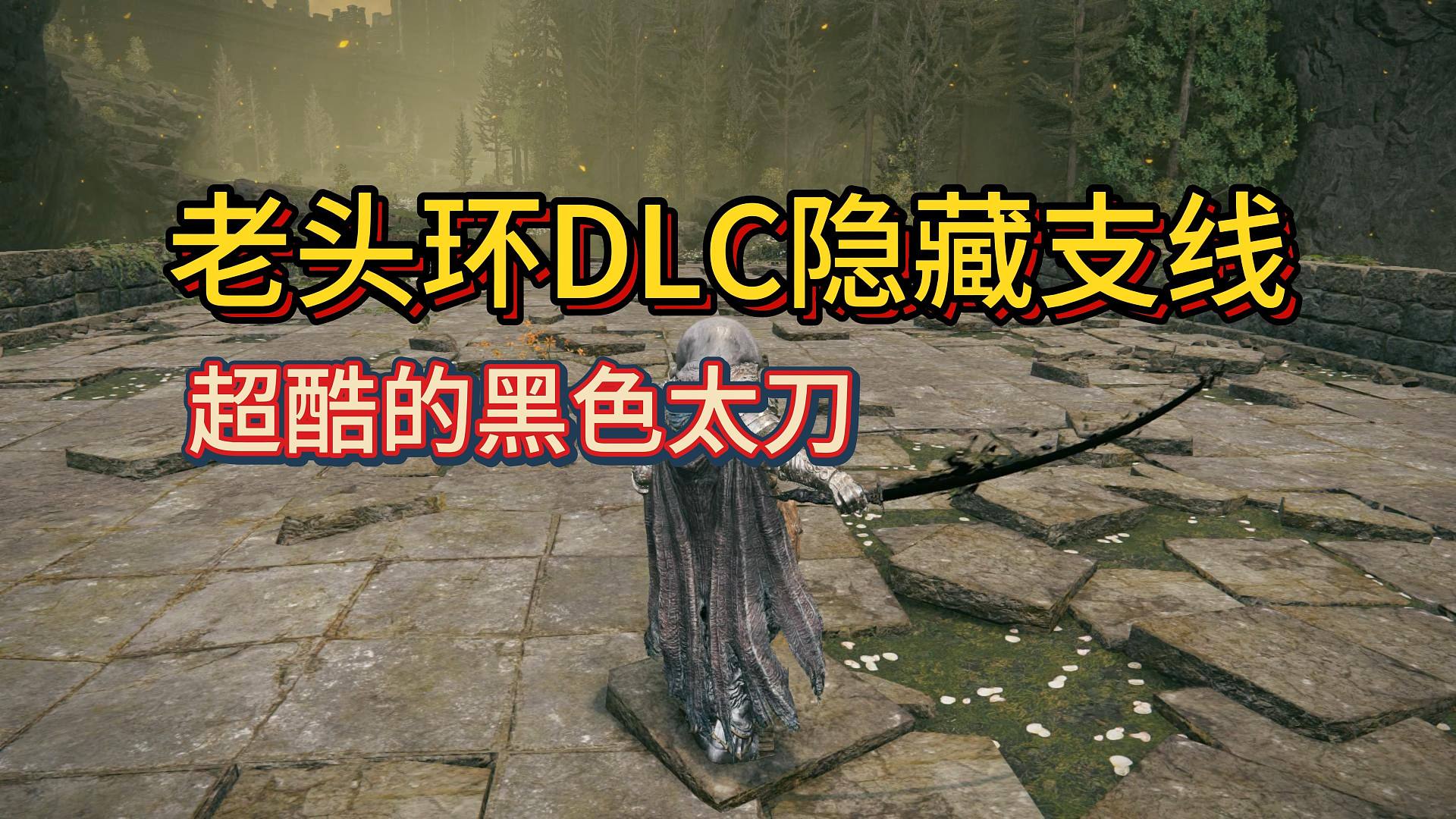 【艾尔登法环DLC】指头隐藏支线攻略！超酷黑太刀奖励！
