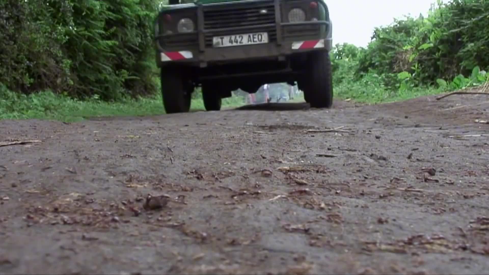 317. 那些动物界里的“气功大师”你知道几个？