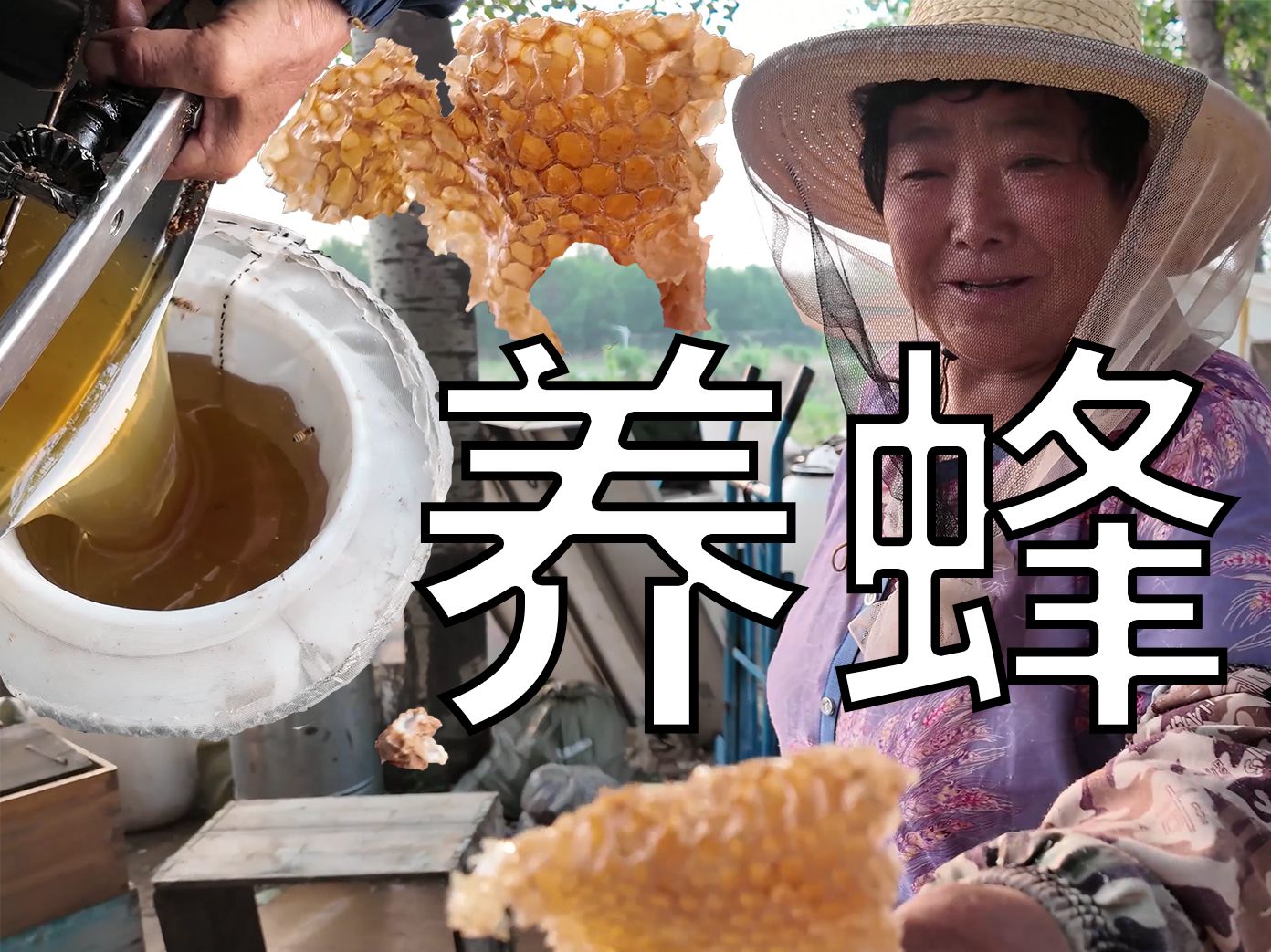 【哈基米】养蜂人：你买的蜂蜜是假的！我是…手摇蜂蜜 蜂巢 蜂王浆 试吃