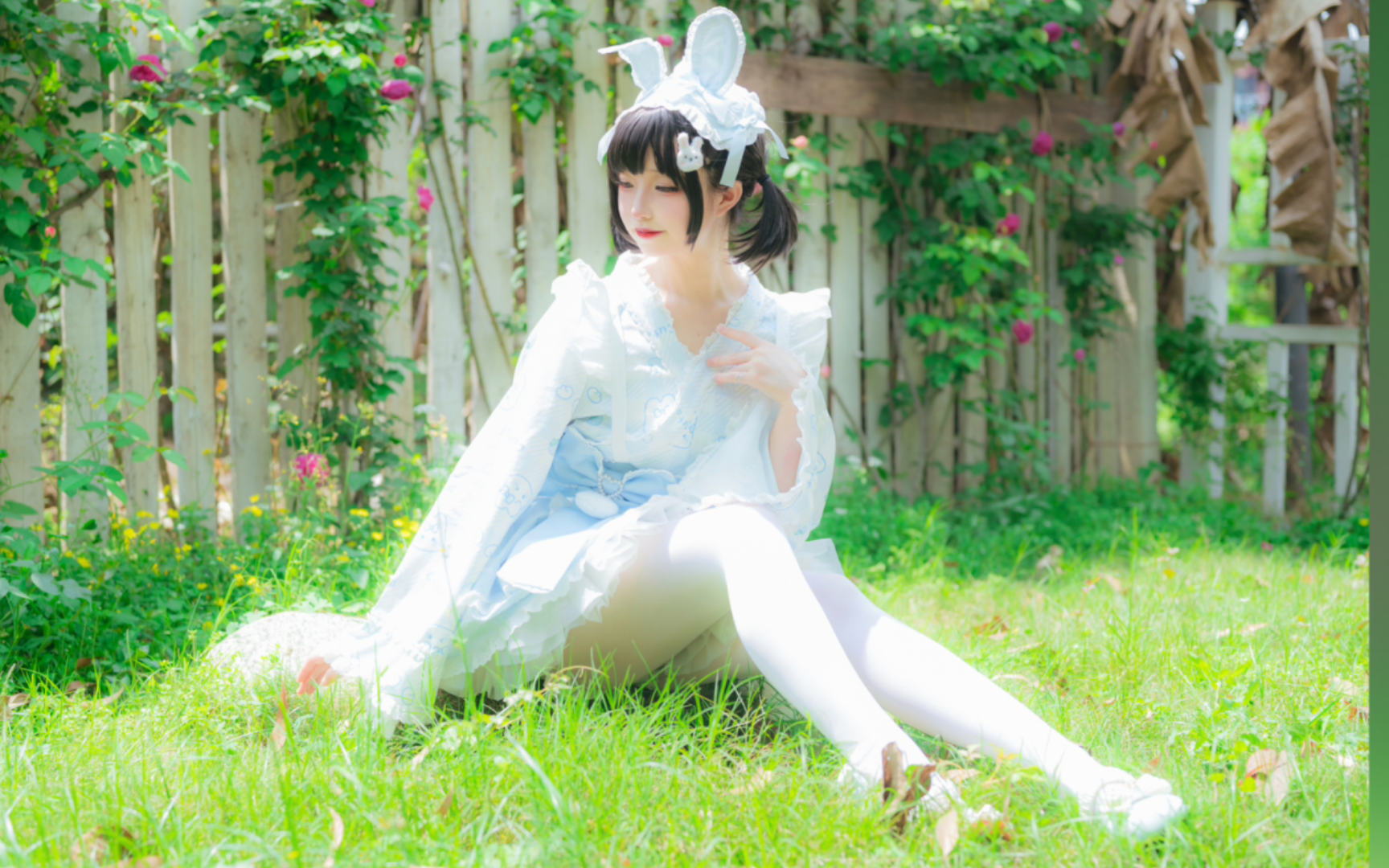 うに｜闪闪发光的小白兔在蹦跶呀~\(≧▽≦)/~