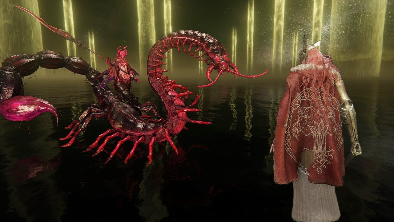 法环：花蕾圣女罗密娜VS本体BOSS