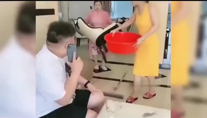 971. 那些夫妻婚后的搞笑日常，生活玩出新花样，每天都是名场面