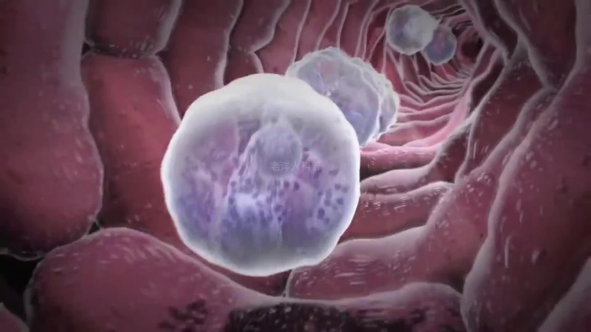 325. 你与病毒的对抗究竟进行到哪一步了？