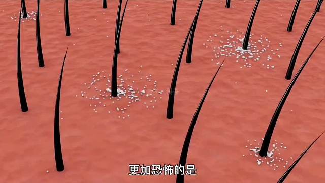 333. 盘点人类历史上最残忍的十种酷刑（下）