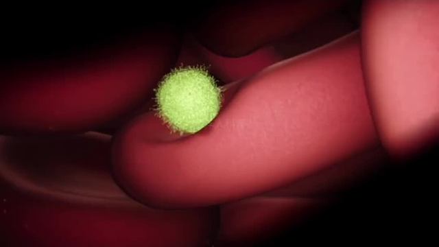 343. 免疫系统VS致病菌，人体的强大远远超出你的想象。