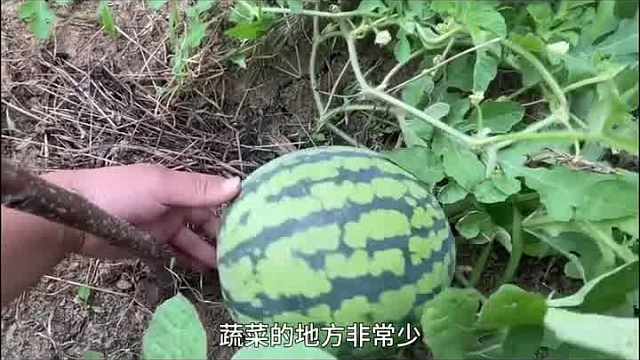 这些中国食物外国人竟然吃不起