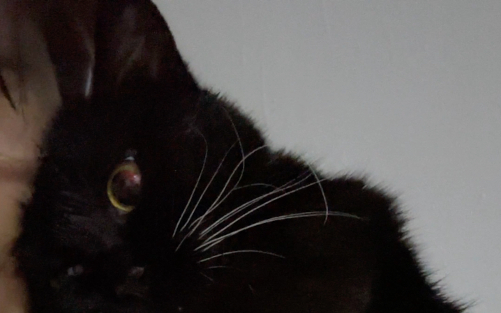 新鲜的豆包，我替你们亲了