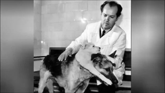 351. 世界上最恐怖的三大实验，你能坚持看到第几个？最后一个竟然让一颗人头活了15年。