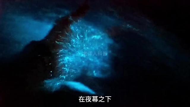 354. 地球上五种罕见的自然奇观，每一种都超乎你的想象，一定要看到最后。