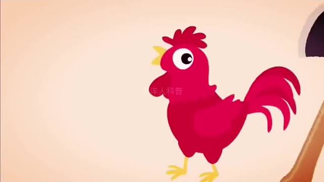 356. 盘点世界上五种断头后还能动的生物，第一种超乎你的想象！一定要看到最后！