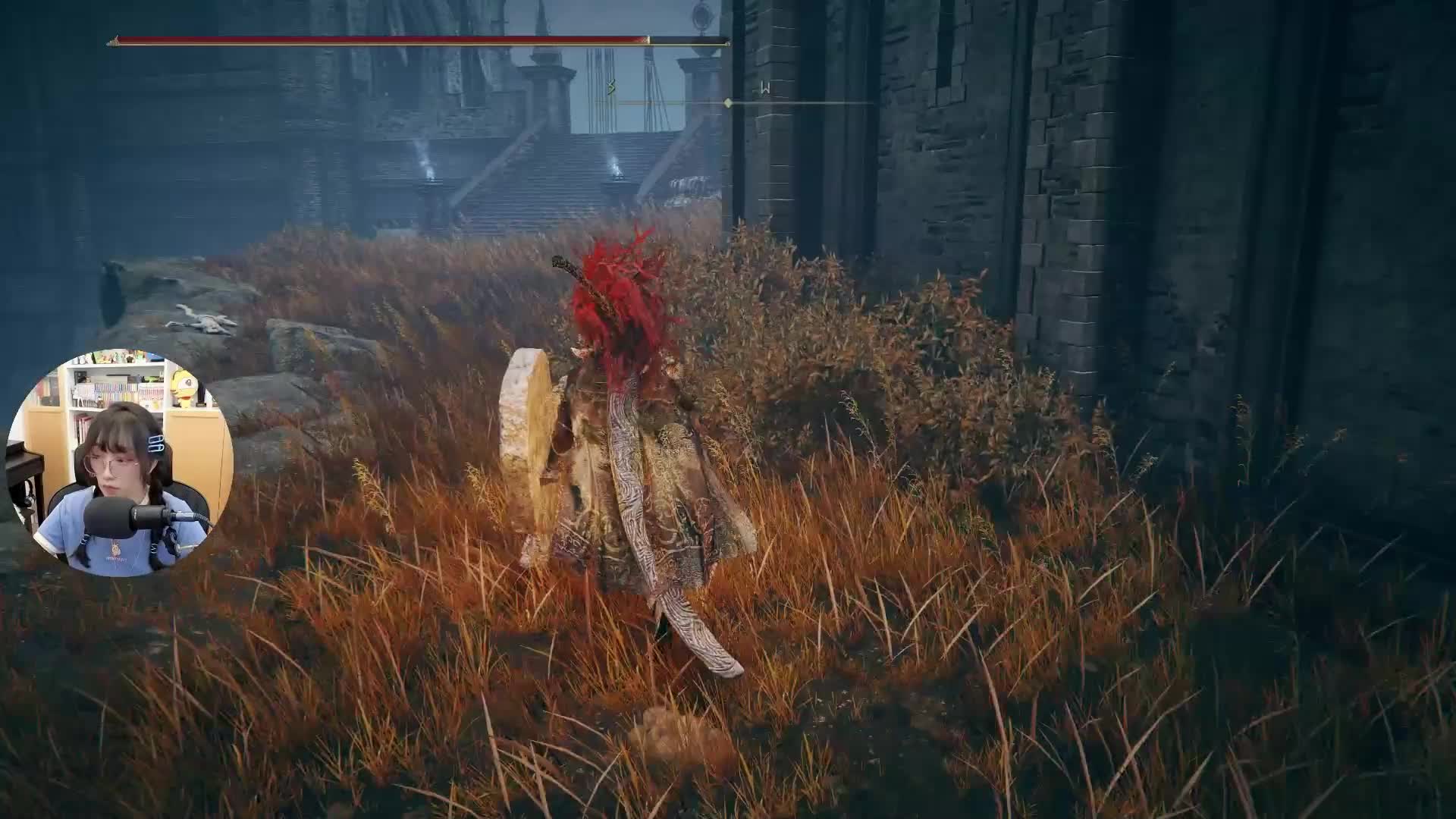 黄金树的幽影【艾尔登法环 DLC】游戏实况通关全集 P5  双月骑士