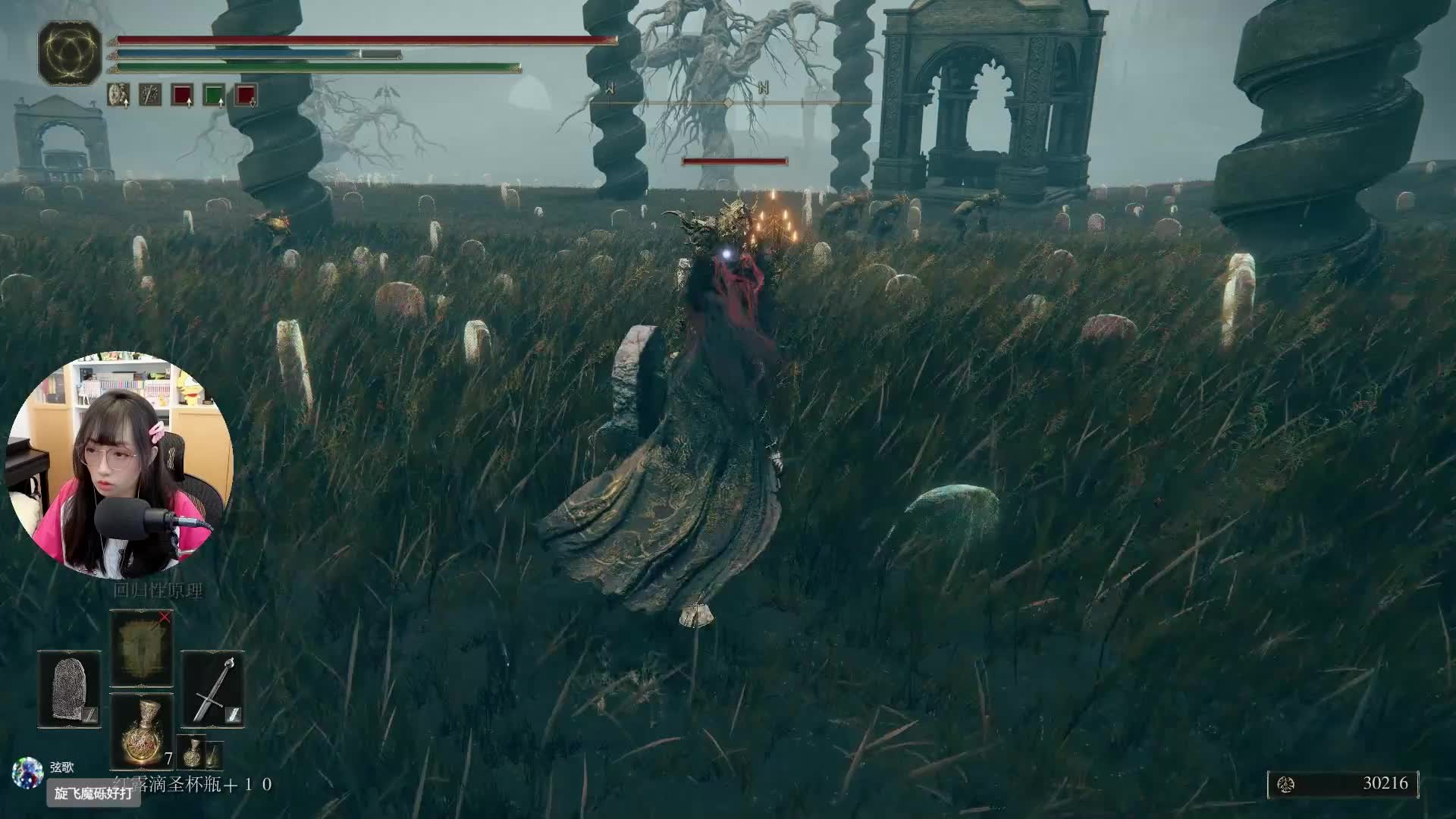 黄金树的幽影【艾尔登法环 DLC】游戏实况通关全集 P1 幽影之地