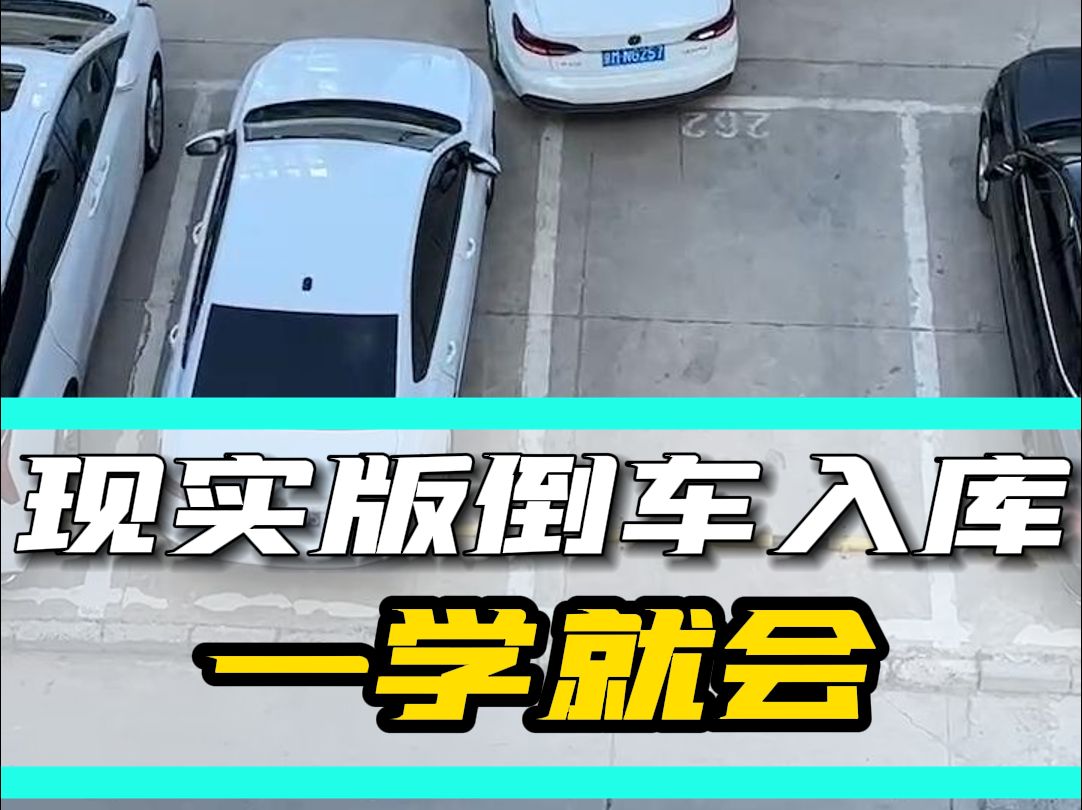 不会倒车入库的看过来，现实版教学，新手一学就会！