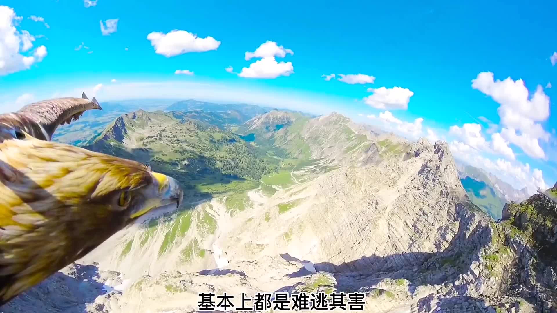 请系好安全带马上起飞