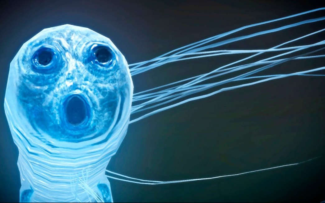 法环：路灯虫赏析