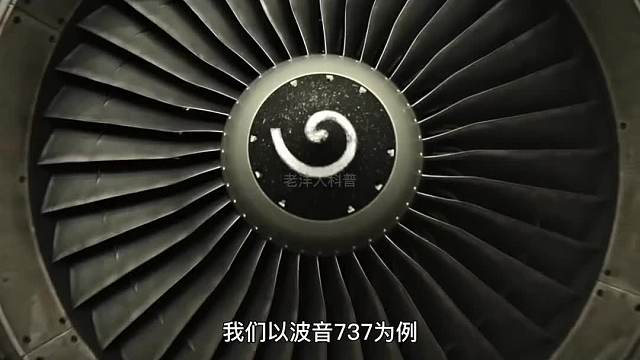 370. 如果你被吸入飞机发动机内，还有活下来的可能吗？