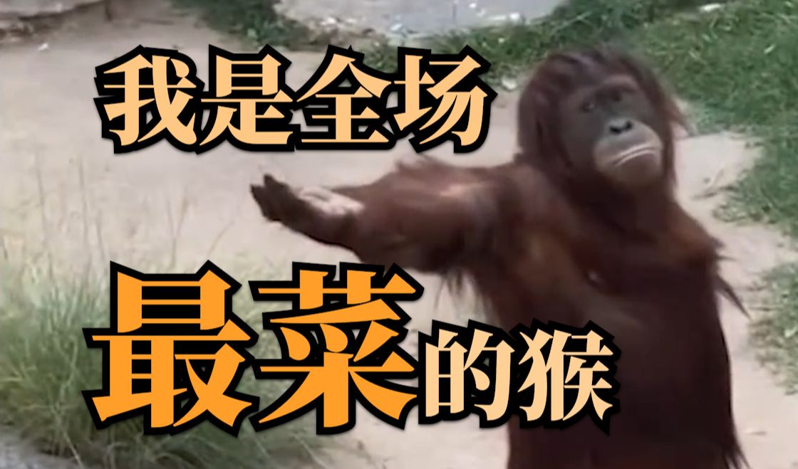 我貌似是因为够菜 才被选去的【黑神话闭门测试】