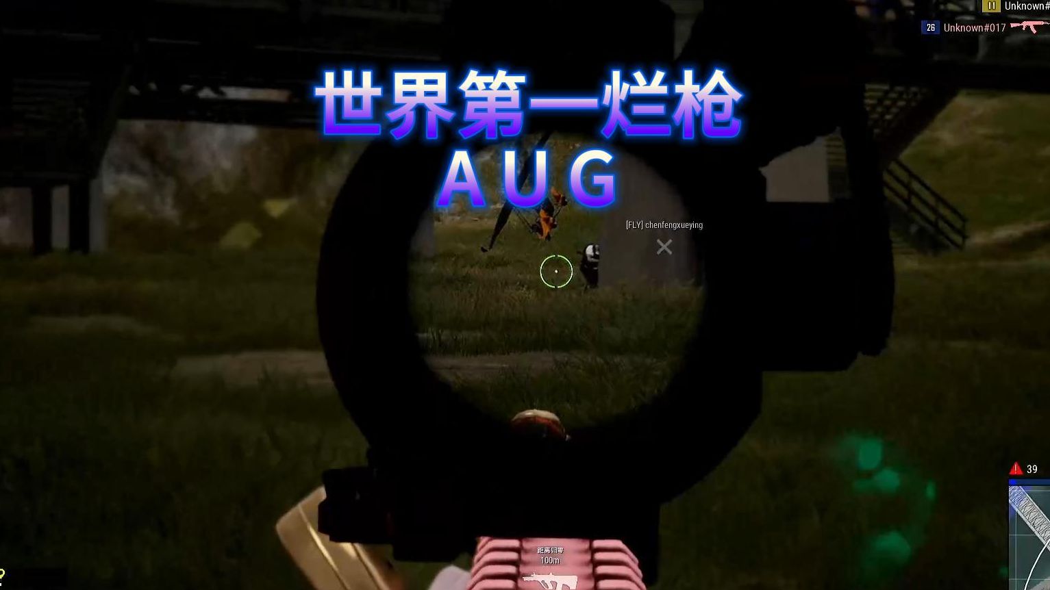 【王牌飞行员】世界第一烂枪，AUG!