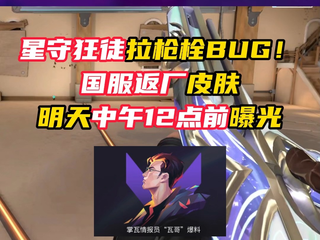 星守狂徒枪栓BUG，国服返厂皮肤明天曝光【无畏契约】
