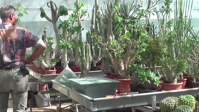 373. 世界上最辣的植物究竟有多辣，小心辣到你灵魂出窍