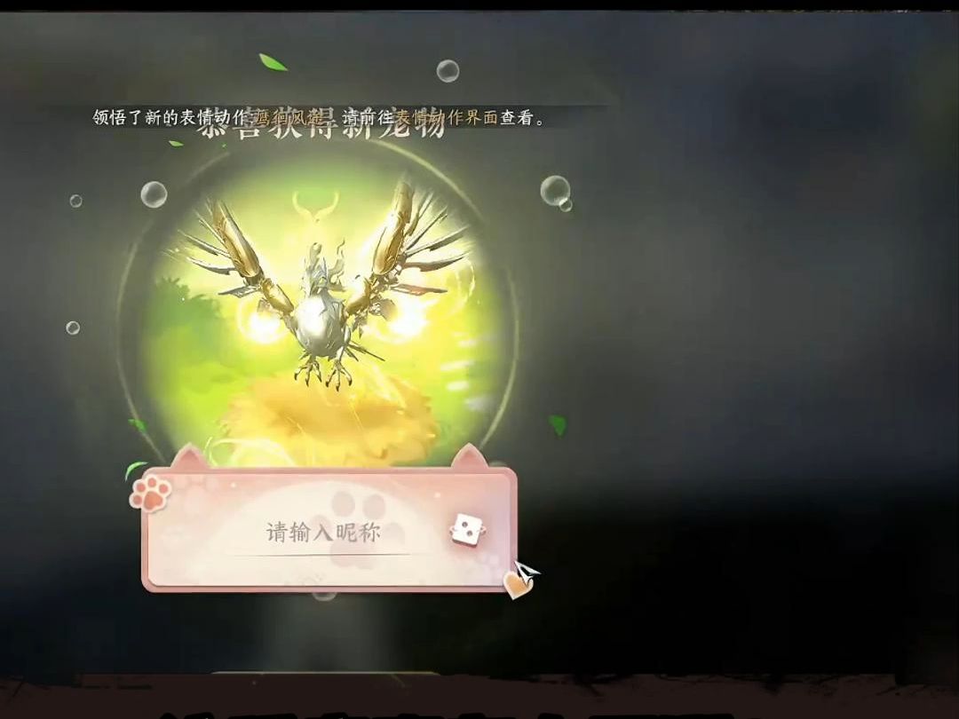 蔡哥清空宠物！就因为加衣品了？