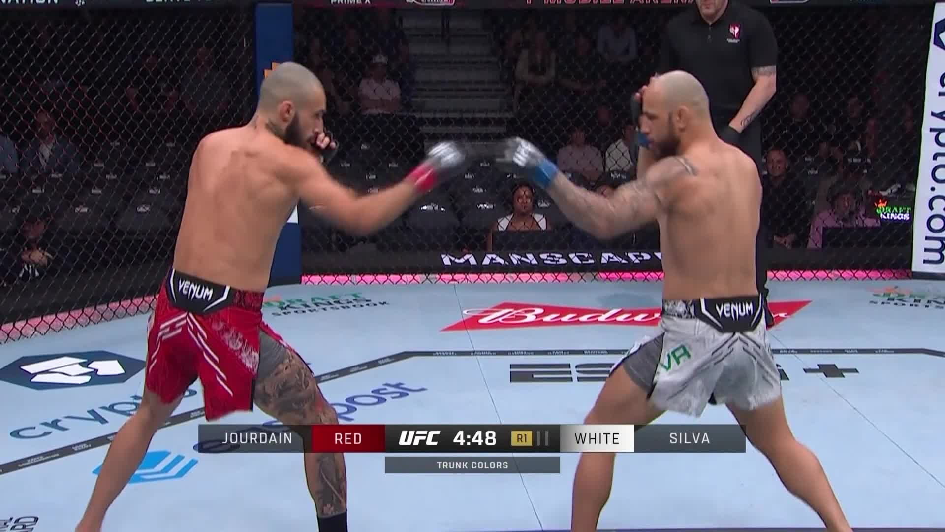 UFC303 查尔斯·朱尔丹 VS 简·席尔瓦 清流