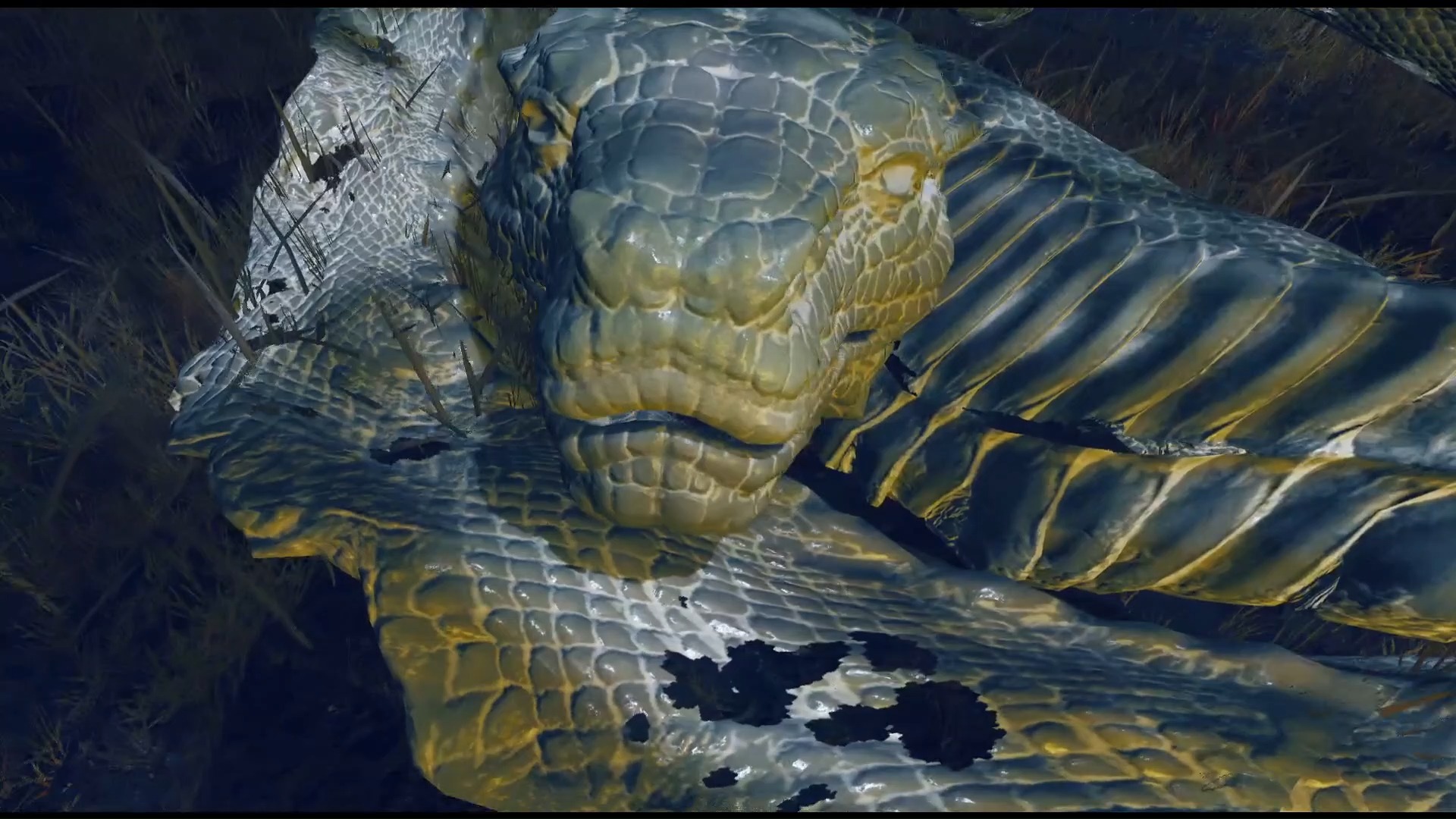 《黄金树暗影》这个奇怪的蛇皮是什么？