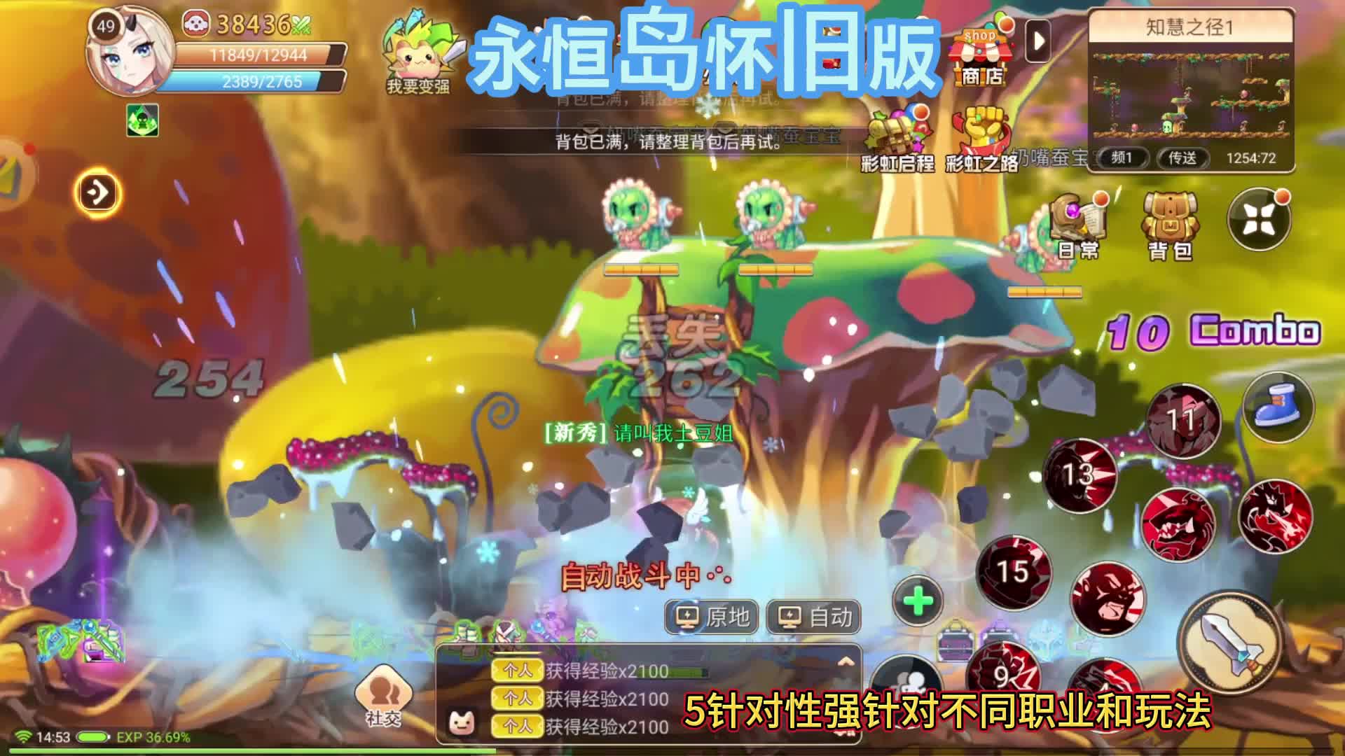 永恒岛怀旧版：新手前期起步攻略，小白必看