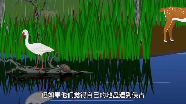 390. 如果你在野外遇到鳄鱼袭击你，该如何自救？