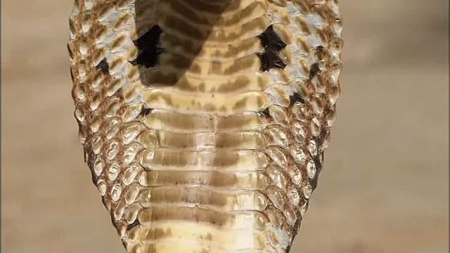 就这个设计，都能判断销量可期