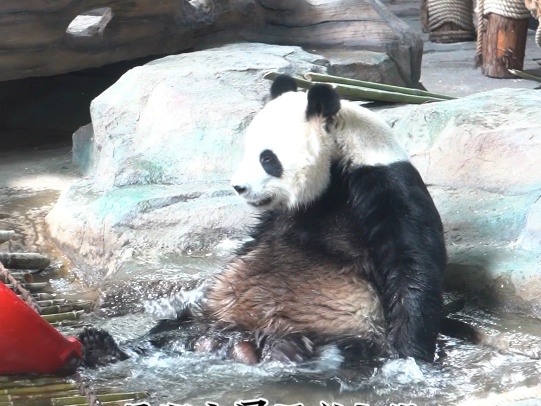 暑期去哪玩？你要的半价来了！