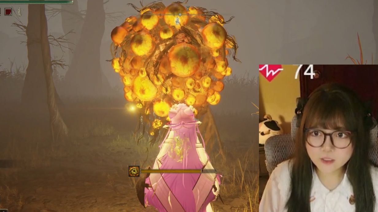 服了 这大脑袋是什么鬼玩意儿啊？？【法环DLC】