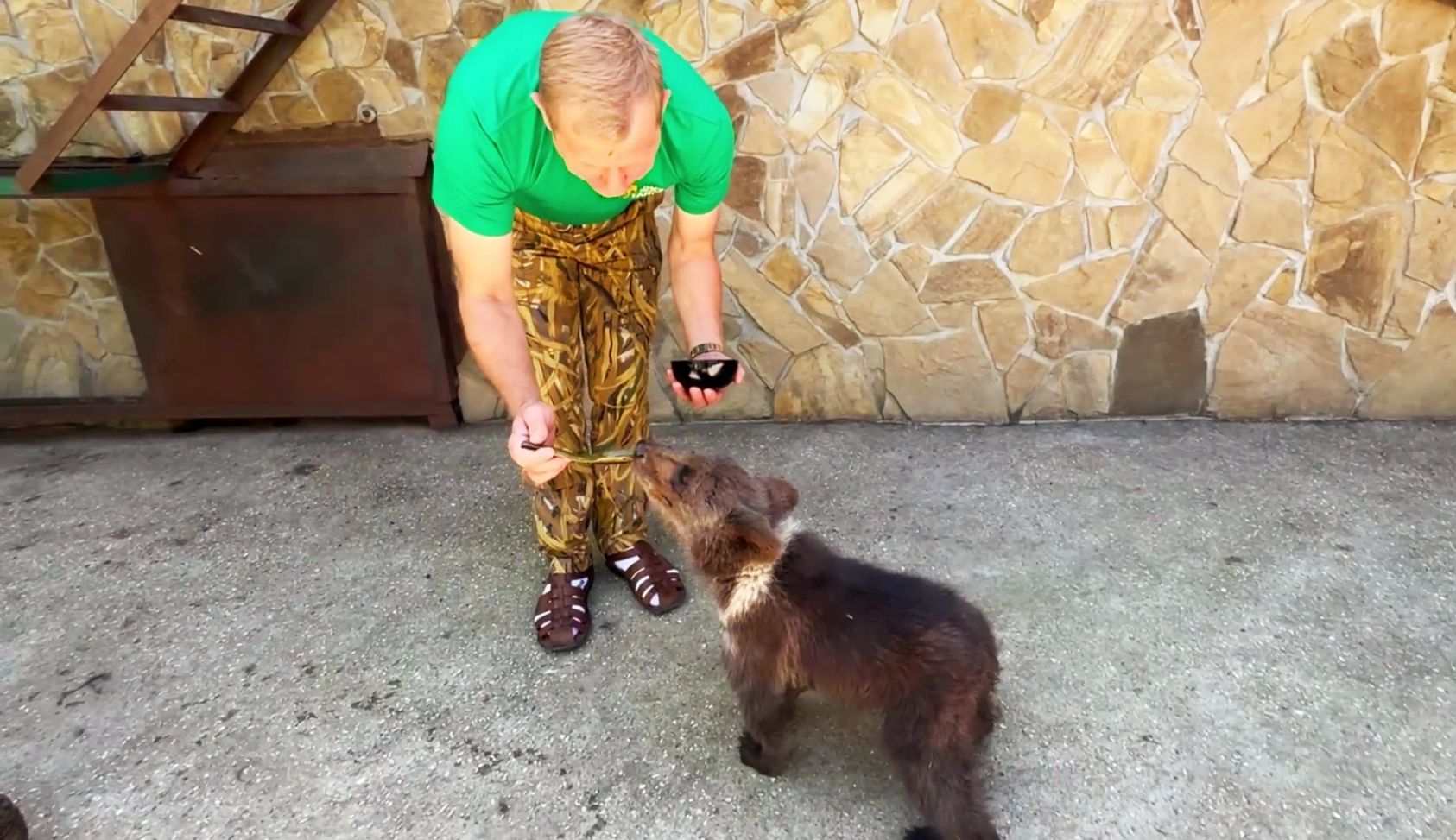 救助小熊吃到了甜甜的蜂蜜！