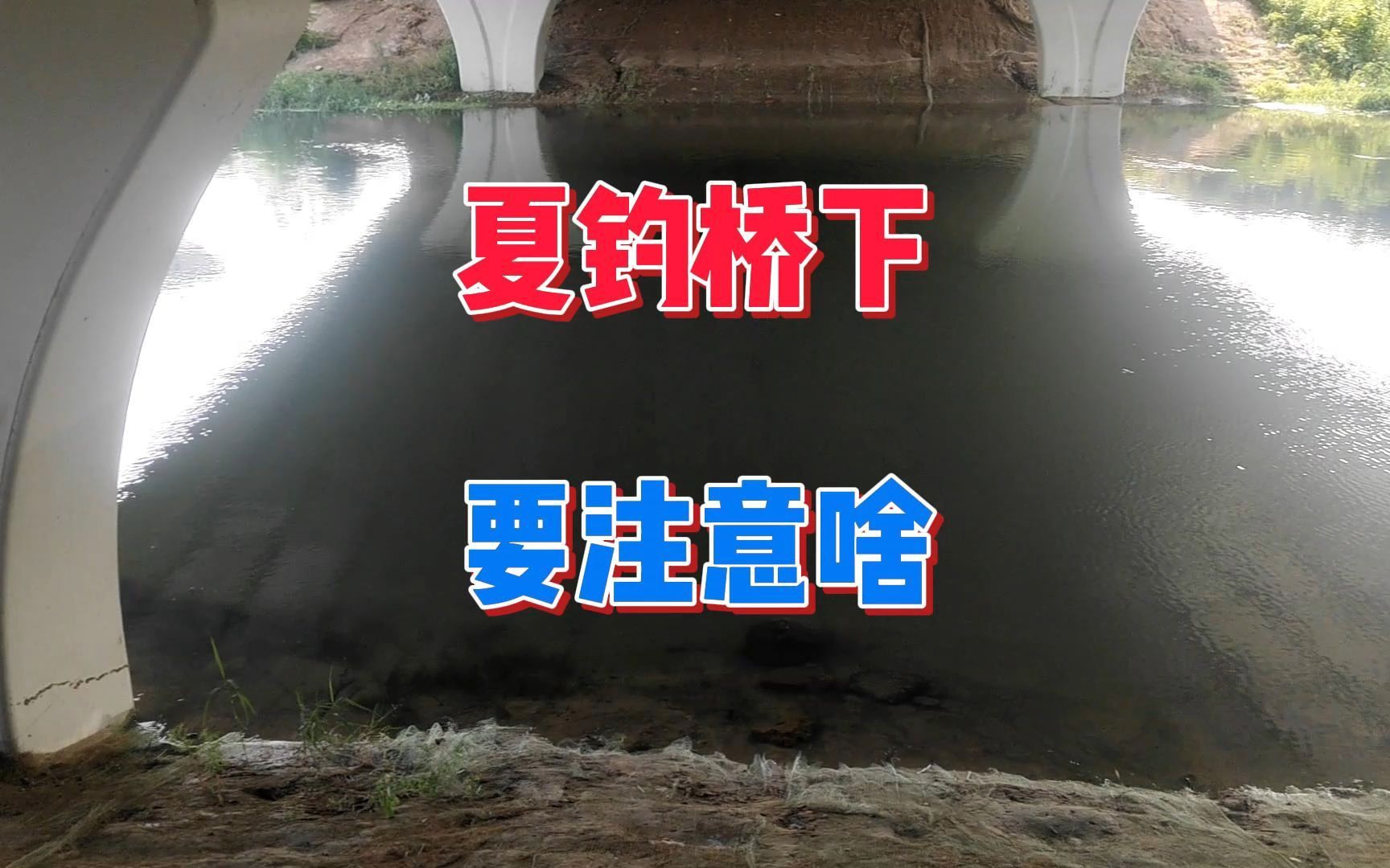 夏季水温高鱼难钓，桥下独成一个小气候，注意这些事项鱼获不会差