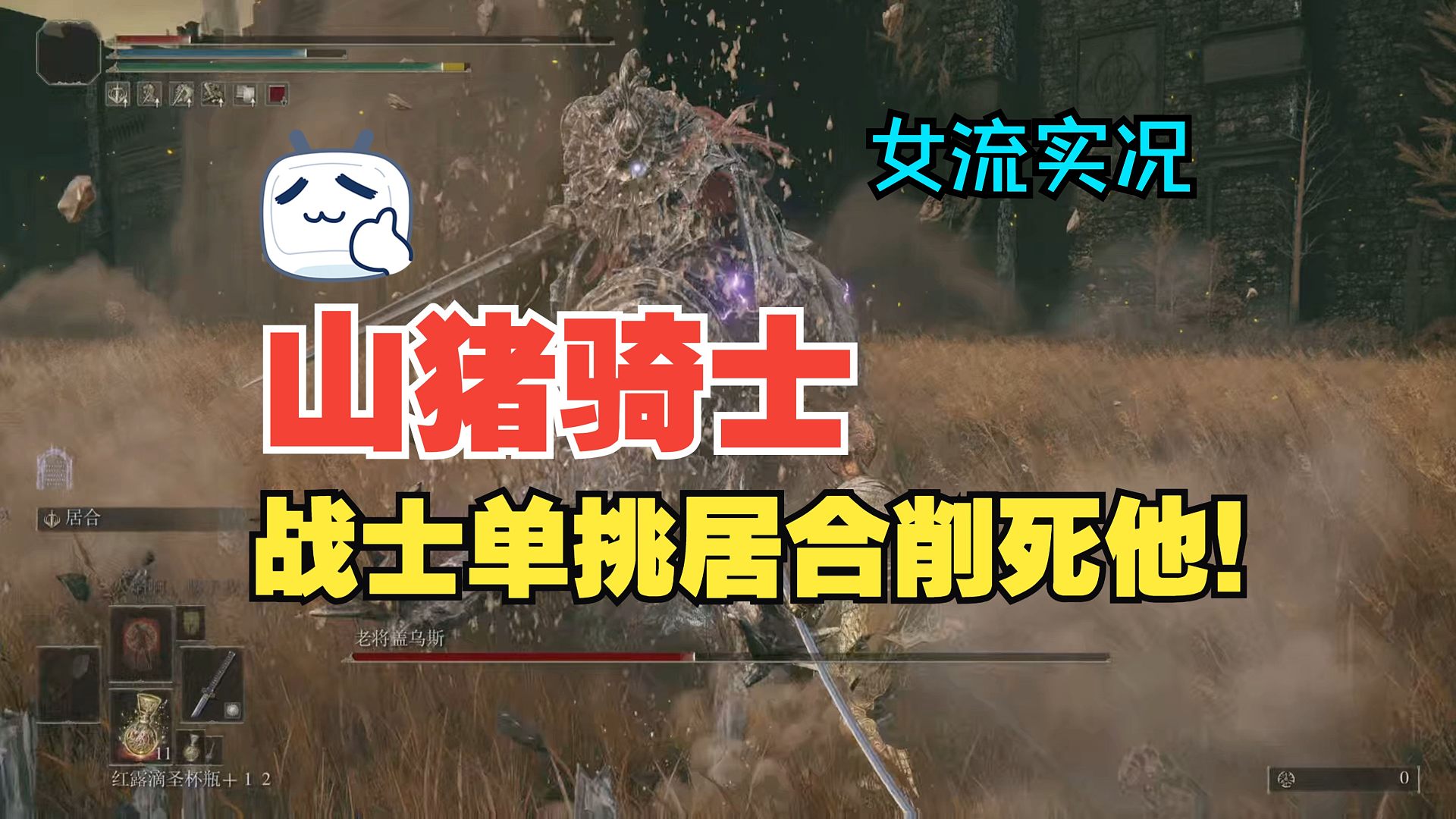 【女流老头环dlc实况】这个山猪骑士最讨厌了