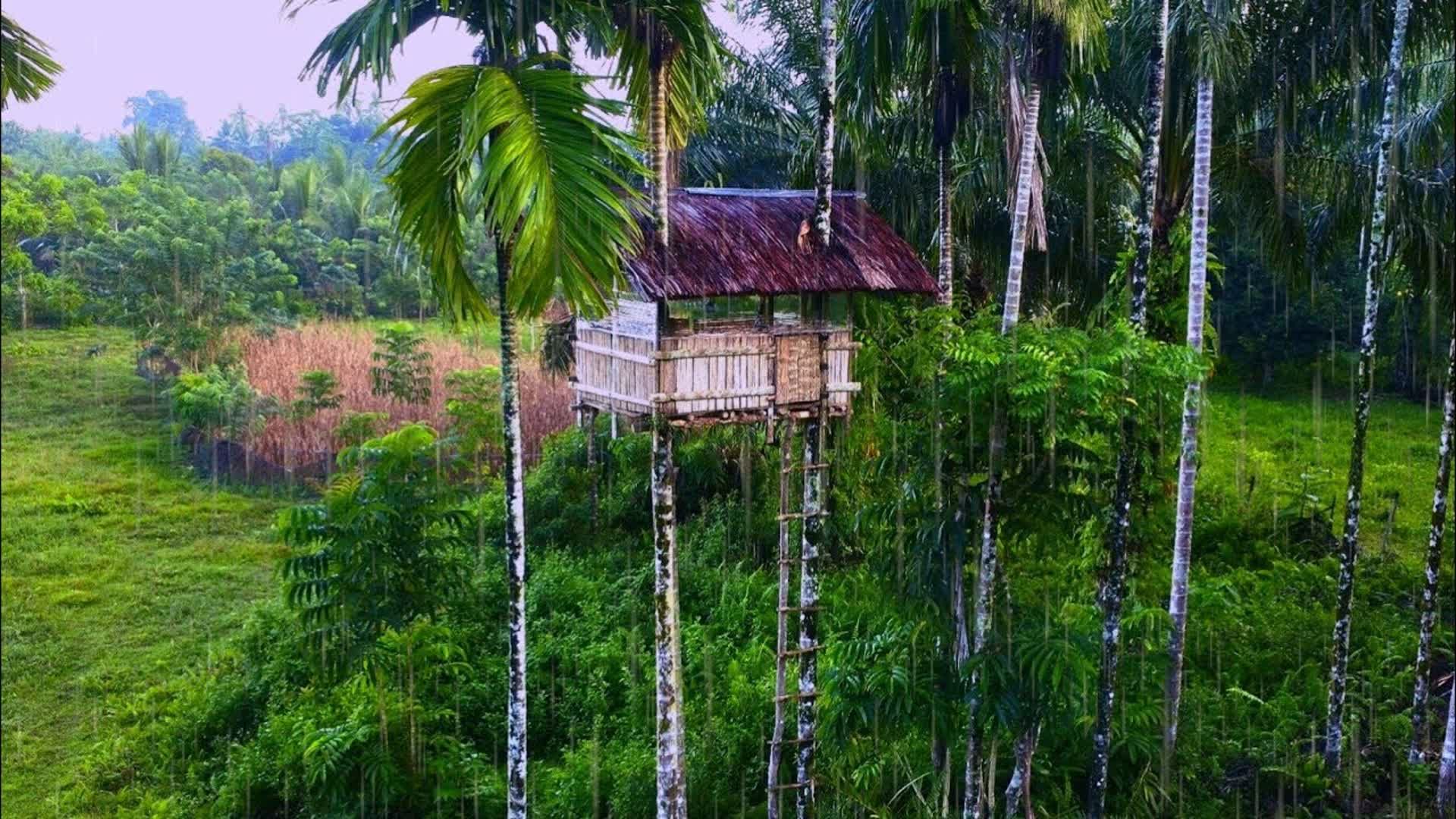 这才是个真牛人，十米高空建造出了树屋，在下雨天前往居住才极其享受