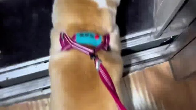 我就不起~你能拿我怎么样