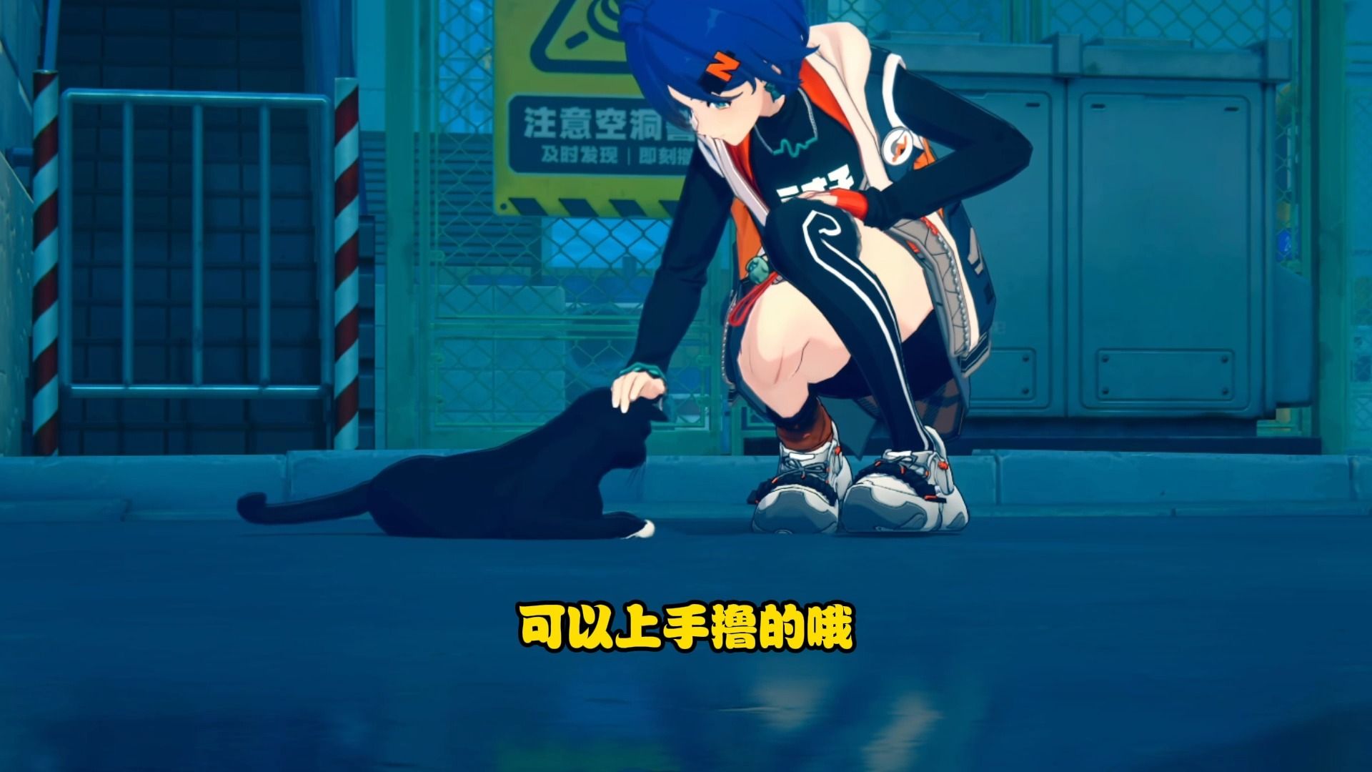 绝区零的猫完胜其他猫咪！谁赞成谁反对！